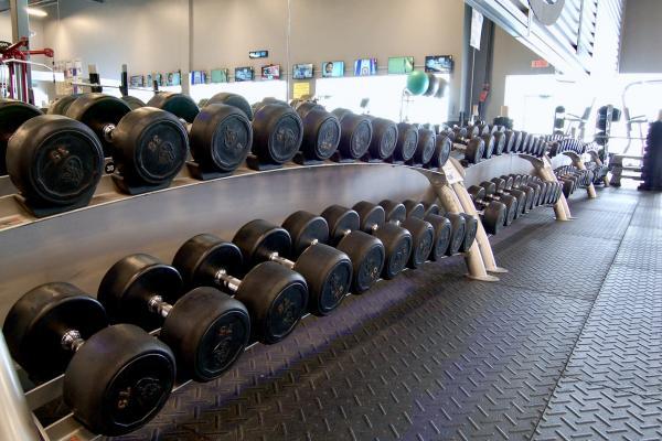 Venice Gym Lévis